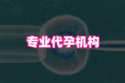河南助孕网站 1