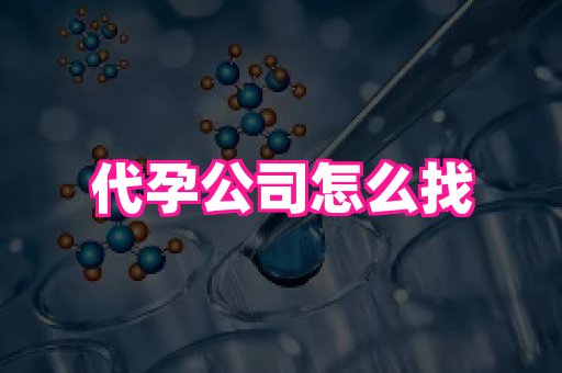 河南助孕网站 3