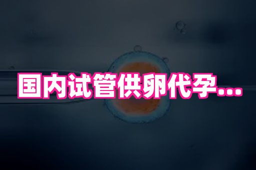 河南助孕网站 4